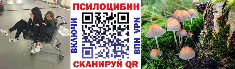 Псилоцибиновые грибы прущие грибы Нижняя Салда